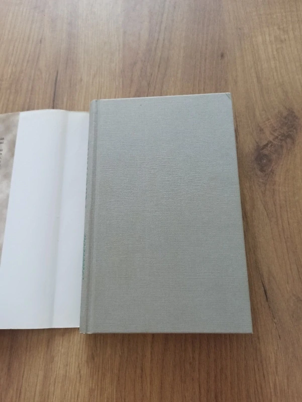 DANIELLE STEEL - Palomino