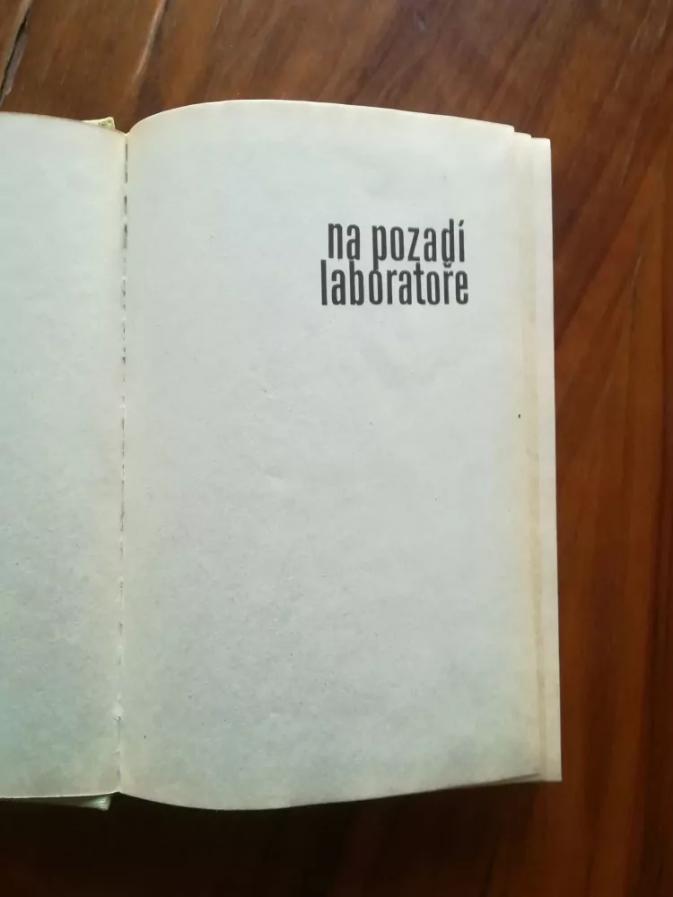 HANA PROŠKOVÁ - Jahody se šlehačkou