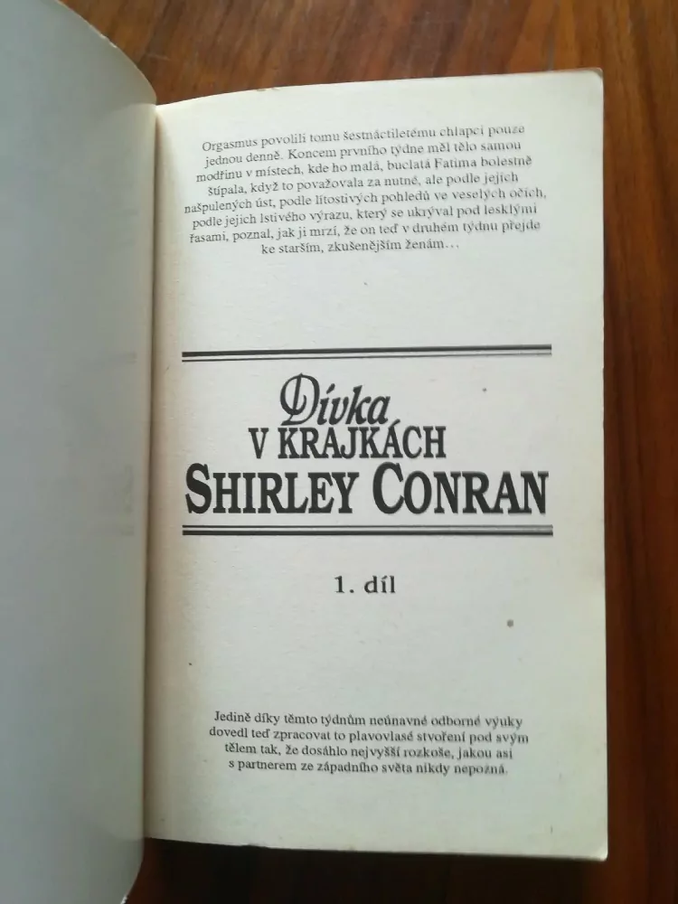 SHIRLEY CONRAN - Dívka v krajkách - 1.díl