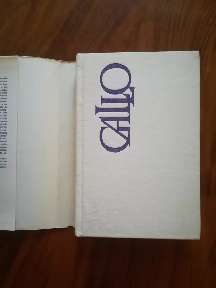 MAX GALLO - Zátoka andělů