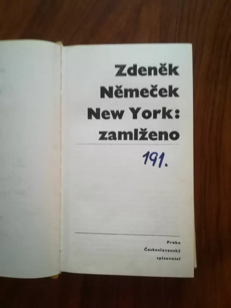 ZDENĚK NĚMEČEK - New York - zamlženo