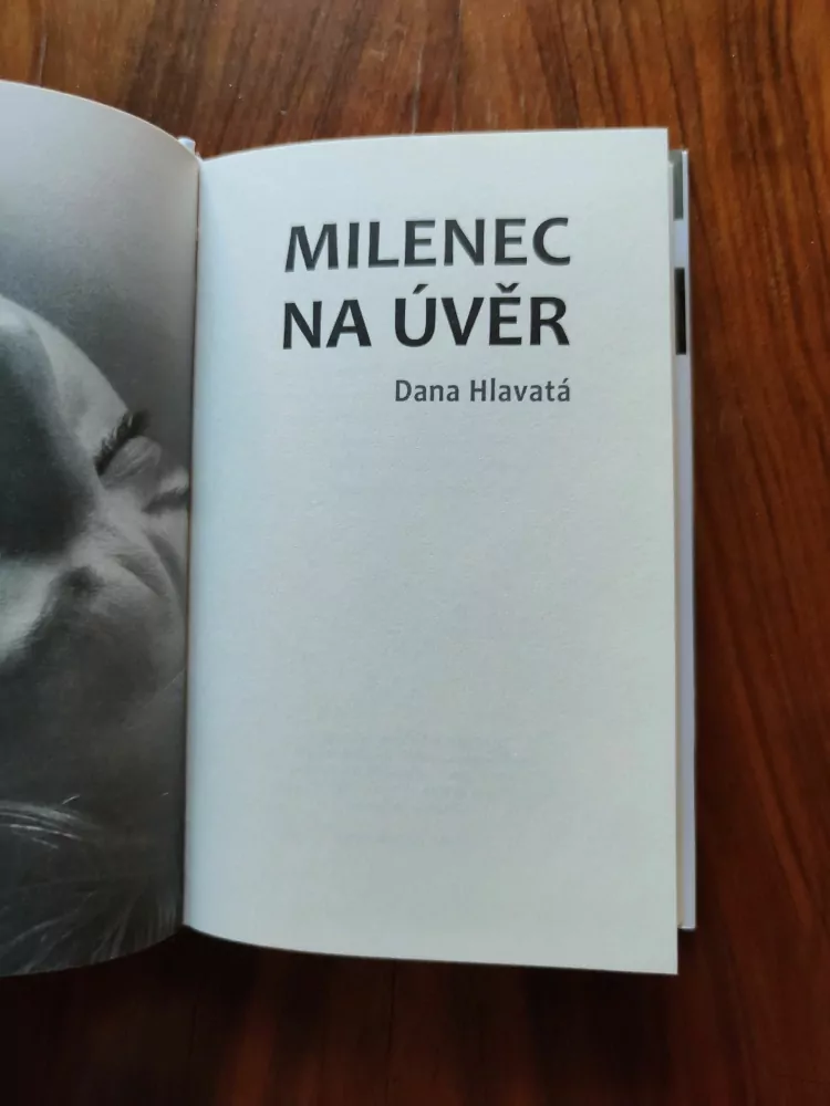 DANA HLAVATÁ - Milenec na úvěr