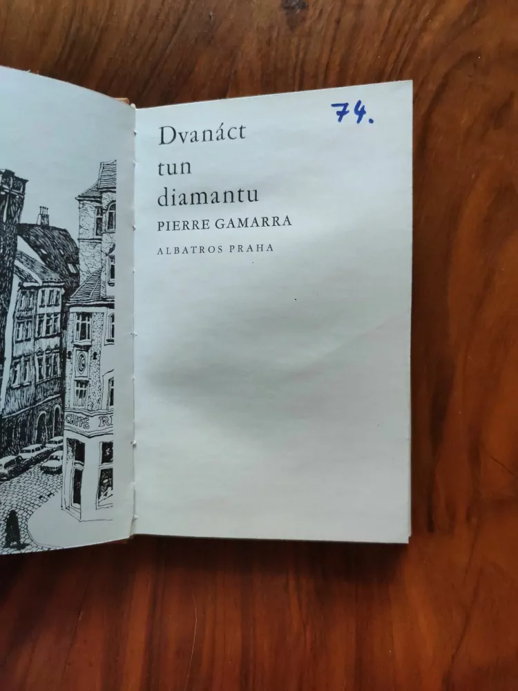PIERRE GAMARRA - Dvanáct tun diamantu
