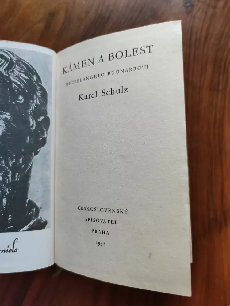 KAREL SCHULZ - Kámen a bolest