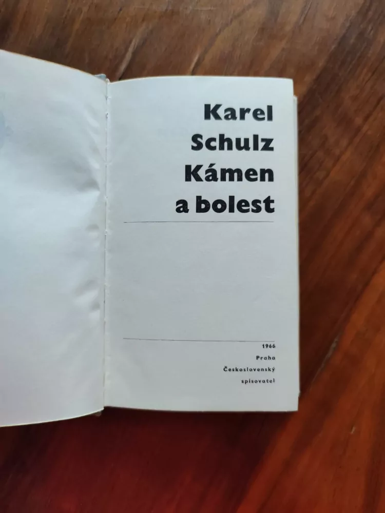 KAREL SCHULTZ - Kámen a bolest