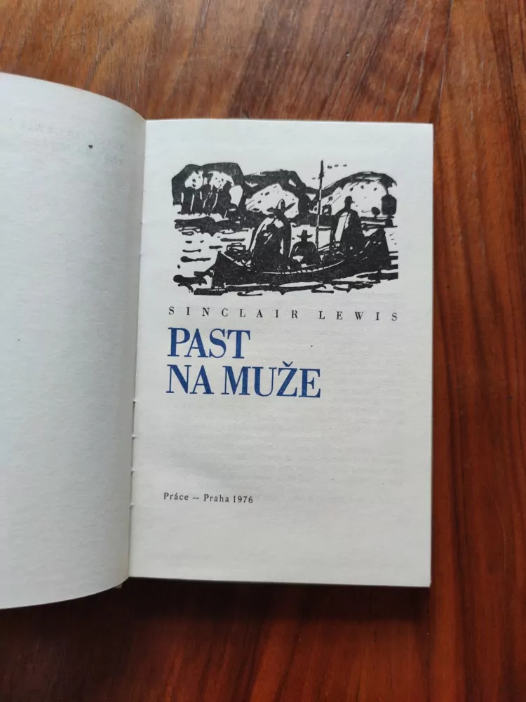 SINCLAIR LEWIS - Past na muže