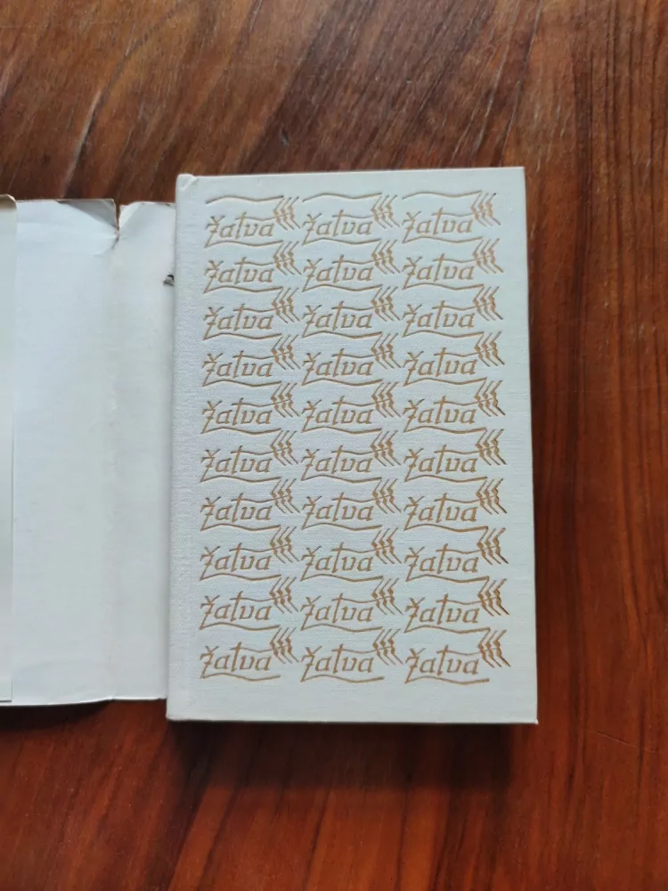 ROMAN RÁŽ - Prodavač humoru