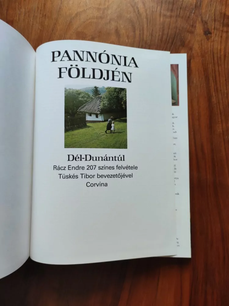 RÁCZ ENDRE, TÜSKÉS TIBOR - Pannónia földjén - Dél-Dunántúl