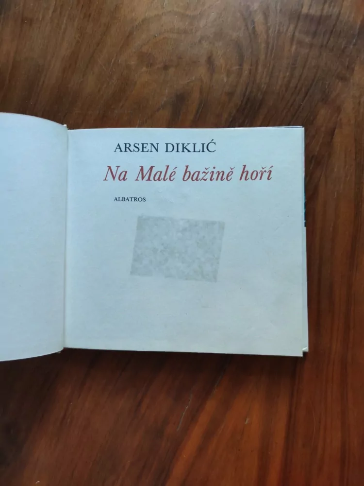 ARSEN DIKLIĆ - Na malé bažině hoří