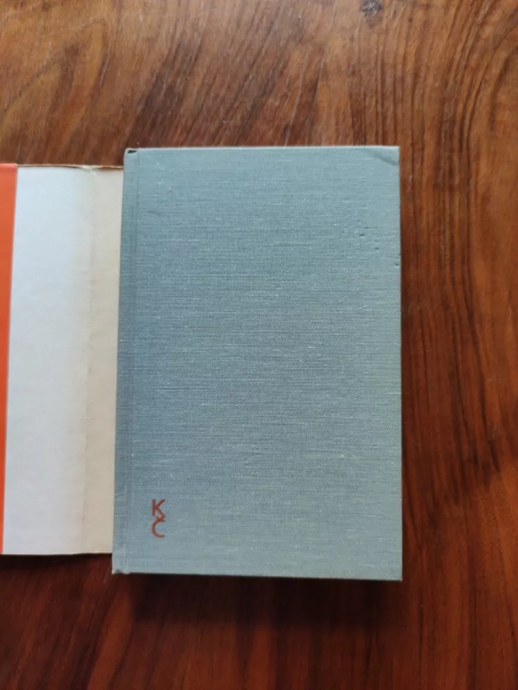 JOHN UPDIKE - Milenci a manželé