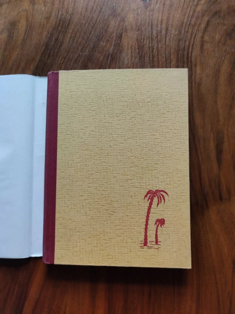 VLADIMÍR JOSEF NOVÁK - Světlo do temné pevniny