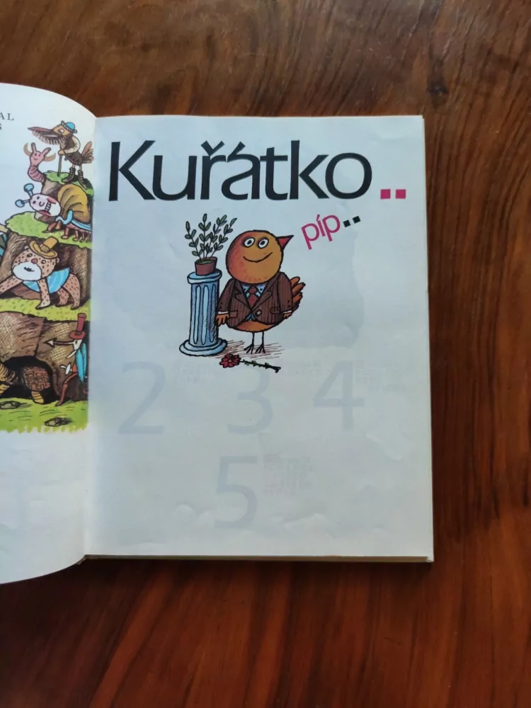 BORIS VLADIMIROVIČ ZACHODER - Kuřátko Píp