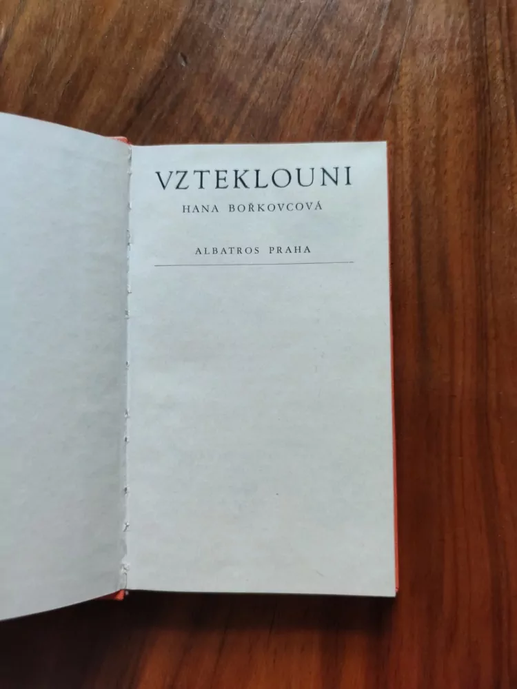 HANA BOŘKOVCOVÁ - Vzteklouni