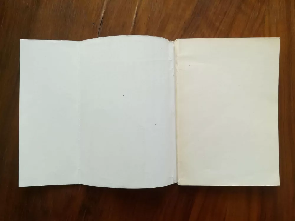 FRANCESCO ROSSO - V mrtvých městech