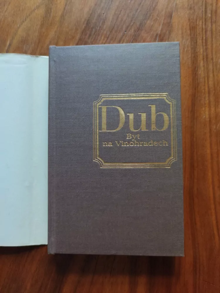 OTA DUB - Byt na Vinohradech