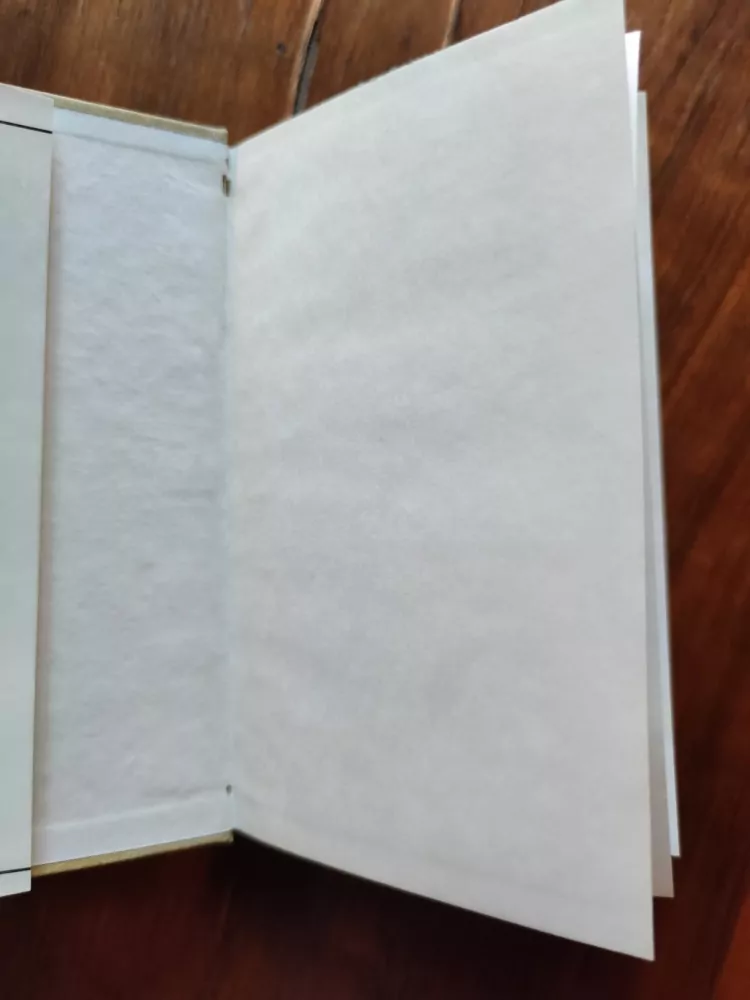 FRANTIŠEK KUBKA - Ječmínkův návrat