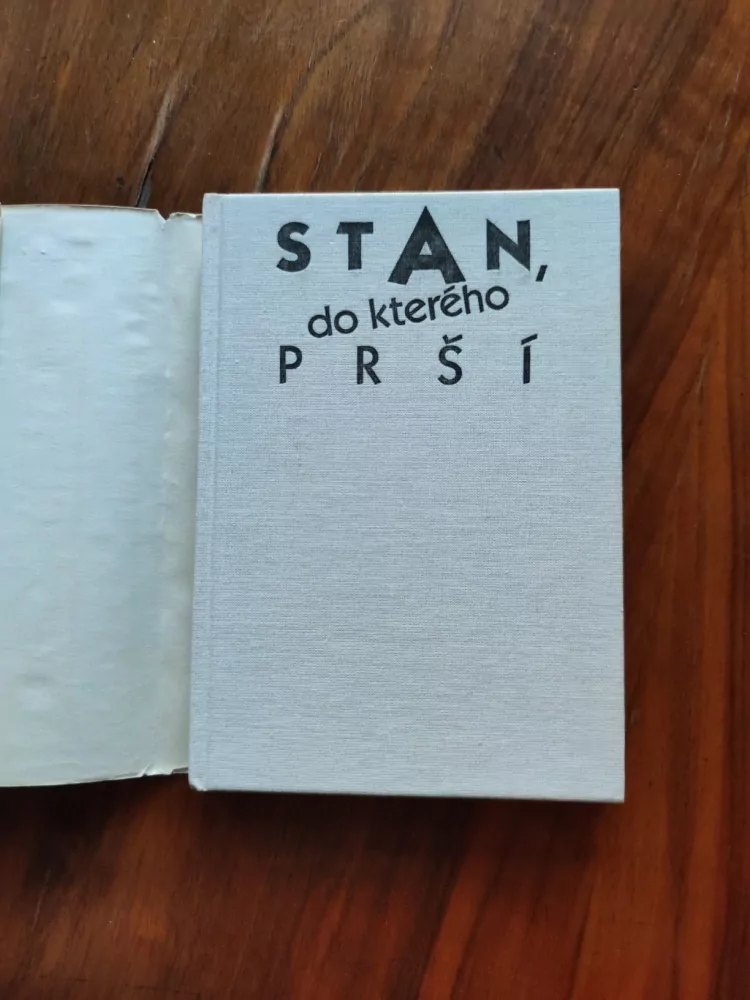 HANA BOŘKOVCOVÁ - Stan, do kterého prší