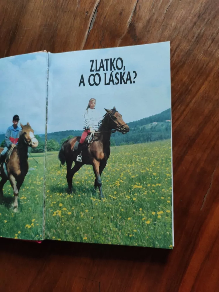 VĚRA ŘEHÁČKOVÁ - Zlatko, a co láska?