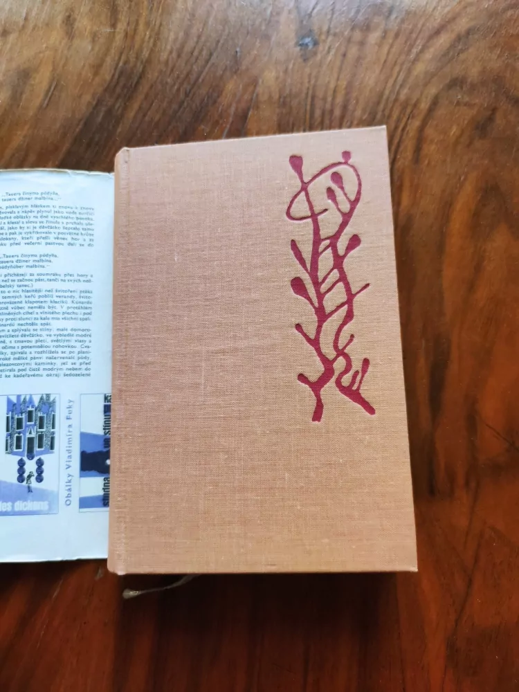 MOA MARTINSON - Matka se vdává