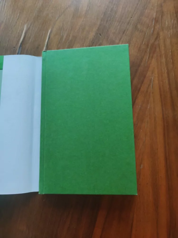 EDUARD VERNER - Utrpení mladého Boháčka