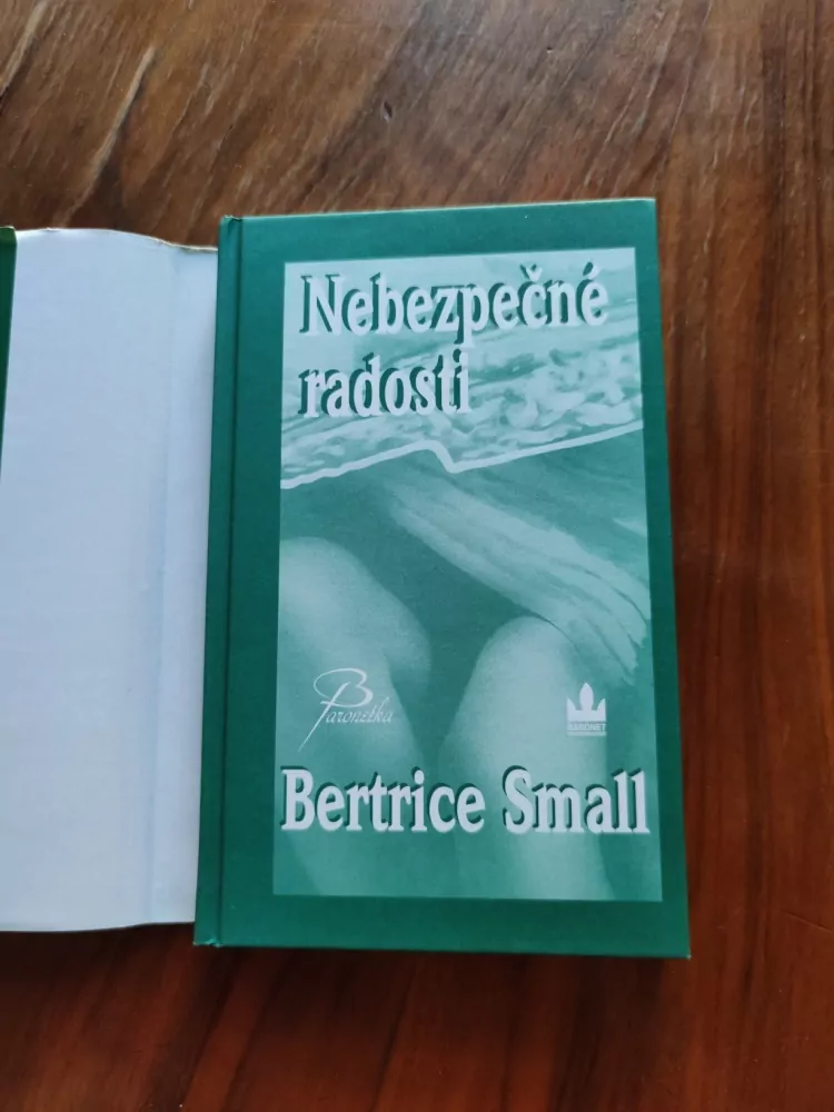 BERTRICE SMALL - Nebezpečné radosti