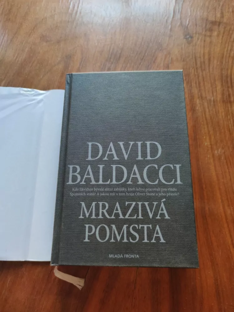 DAVID BALDACCI - Mrazivá pomsta