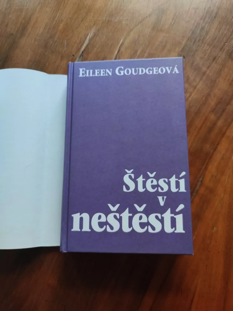 EILEEN GOUDGE - Štěstí v neštěstí