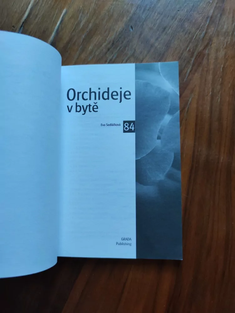 EVA SEDLÁČKOVÁ - Orchideje v bytě