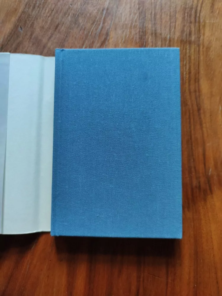 MICHAIL JURJEVIČ LERMONTOV - Z plamene a jasu