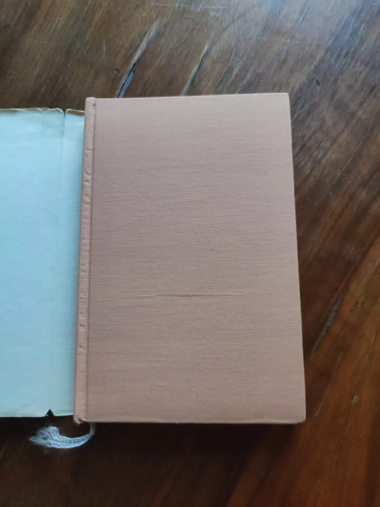 HANNAH MAYER STONE, ABRAHAM STONE - Kniha o manželství