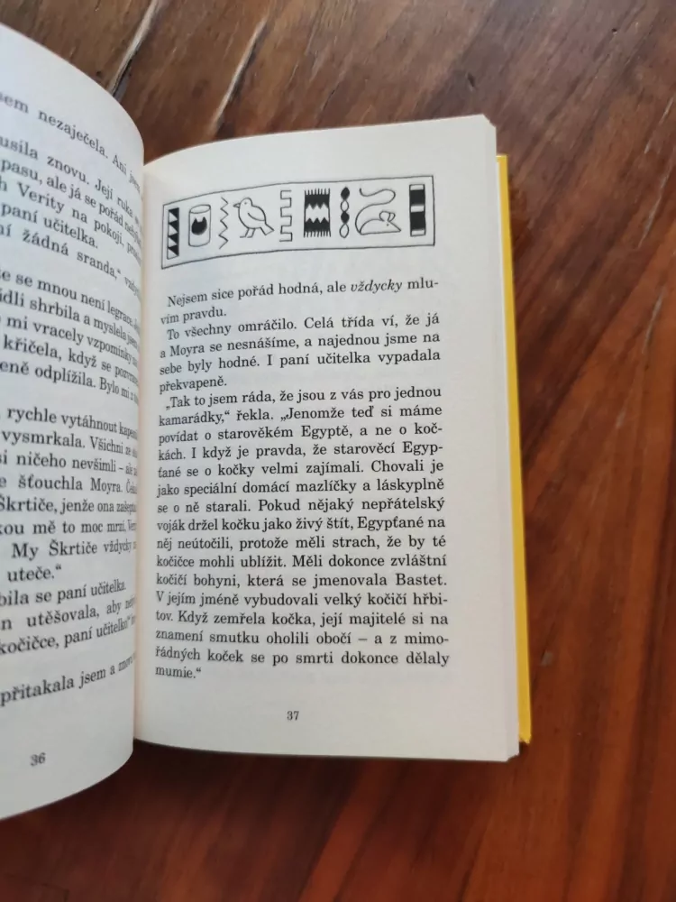 JACQUELINE WILSON - Kočičí mumie