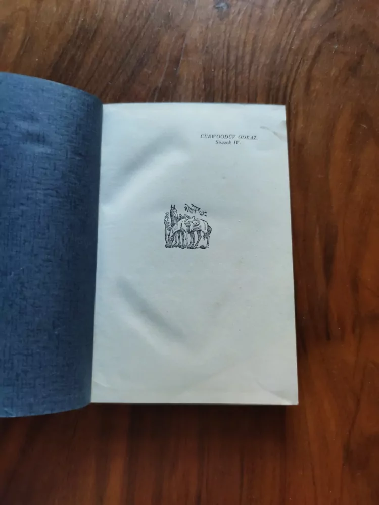 WILLIAM MACLEOD RAINE - Královna vaquerů