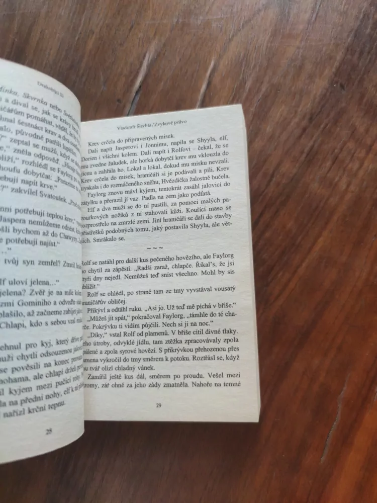 MICHAEL BRONEC - Drakobijci 3