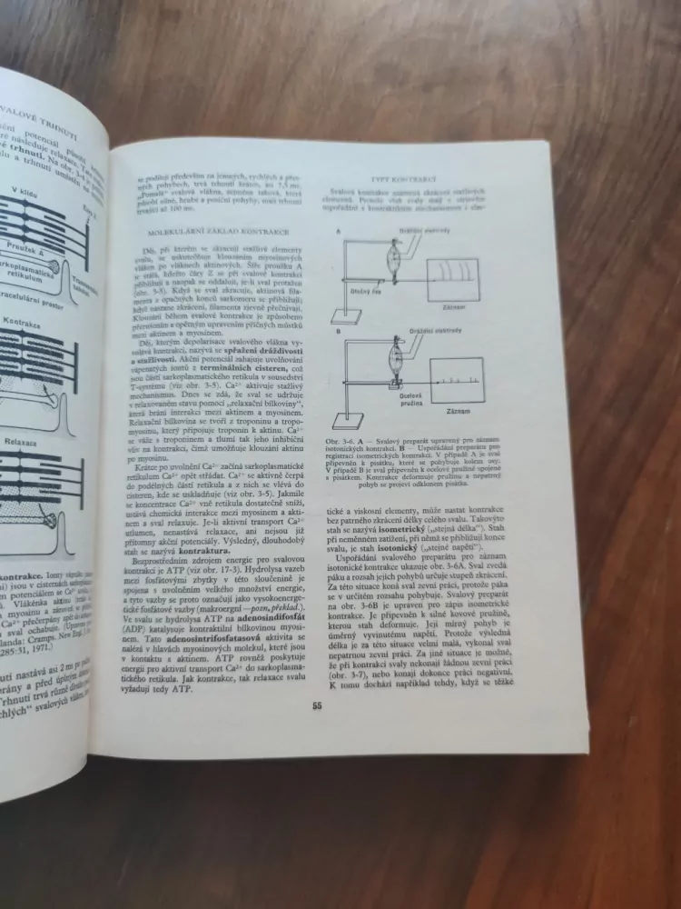 WILLIAM F. GANONG - Přehled lékařské fysiologie