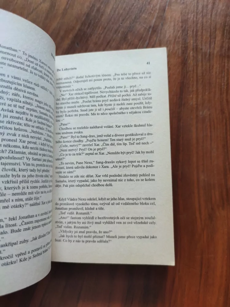 MARGARET WEIS, TRACY HICKMAN - Brána smrti 6. - Do Labyrintu