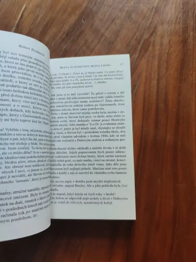 ROBERT HOLDSTOCK - Brána ze slonoviny, brána z rohu