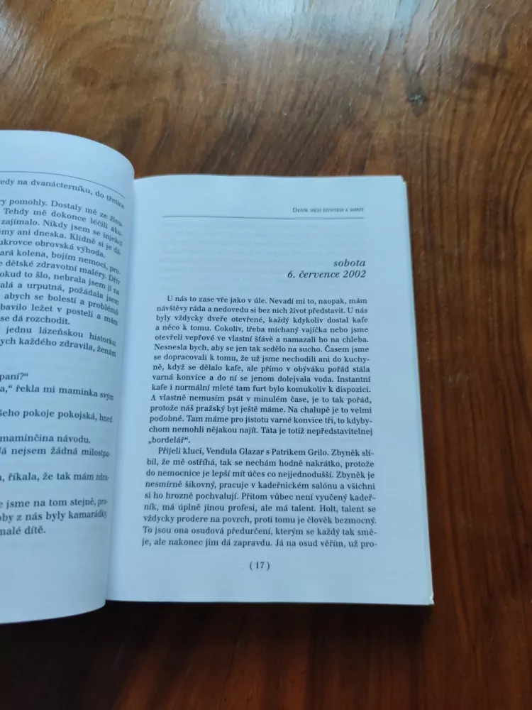 HELENA RŮŽIČKOVÁ, MARIE FORMÁČKOVÁ - Deník mezi životem a smrtí - Můj boj s rakovinou