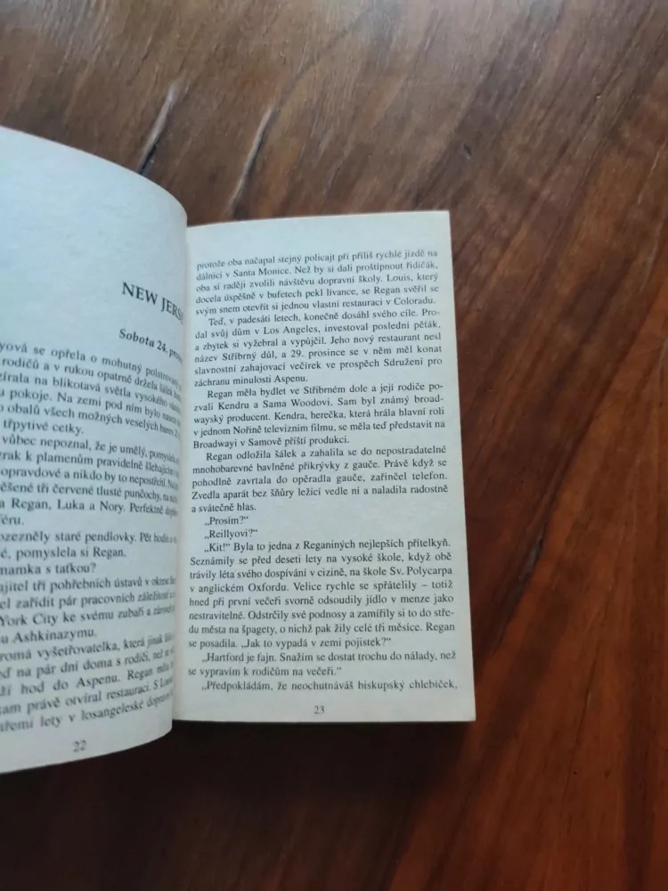 CAROL HIGGINS CLARK - Vánoce v Aspenu