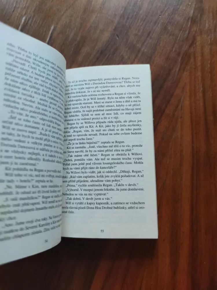 CAROL HIGGINS CLARK - Mrtvá na pláži