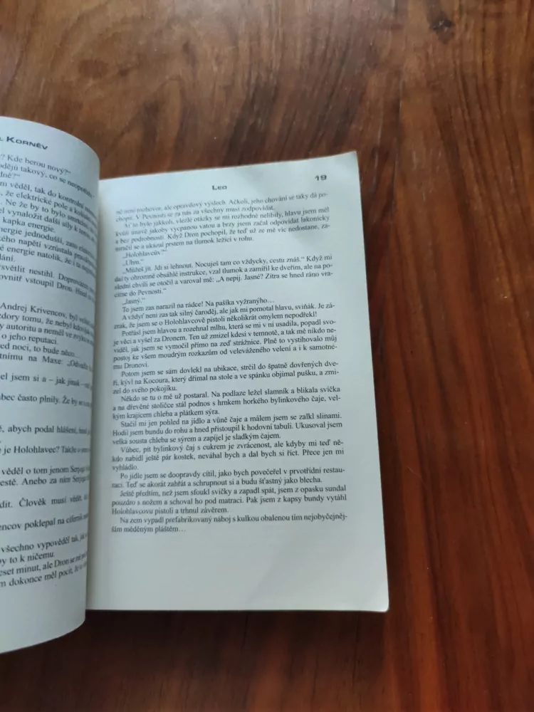 PAVEL KORNĚV - Příhraničí I. - Led