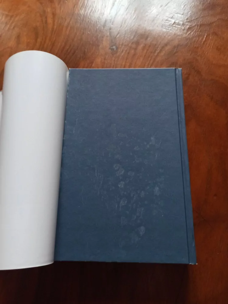 RICHARD DOETSCH - 13. hodina