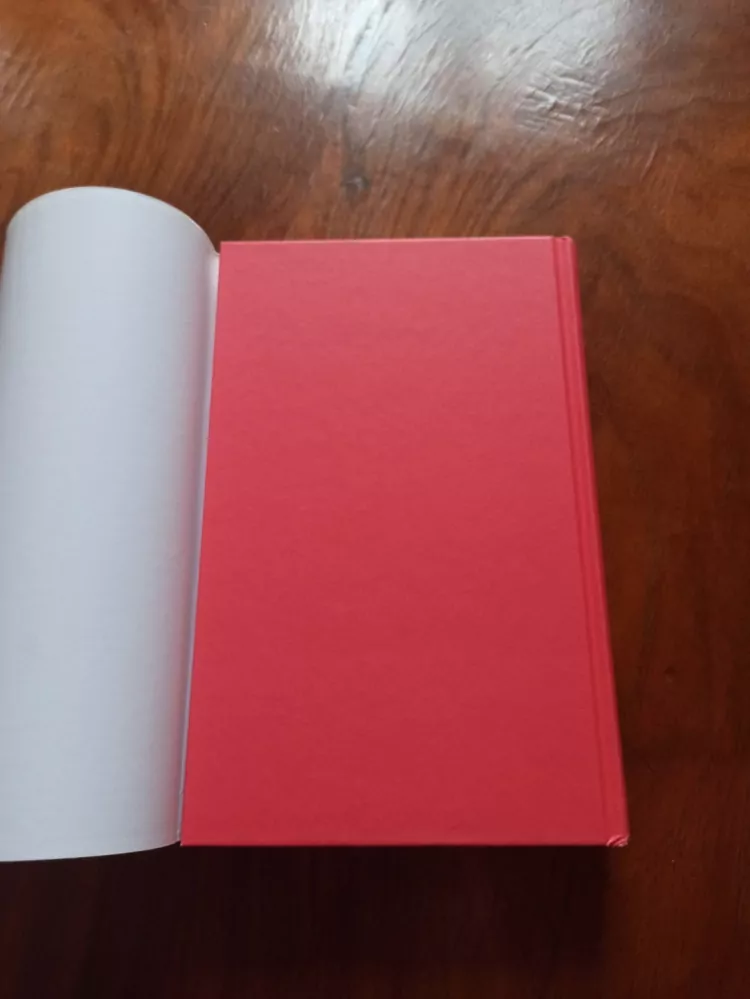 TAYLOR STEVENS - Lovkyně informací