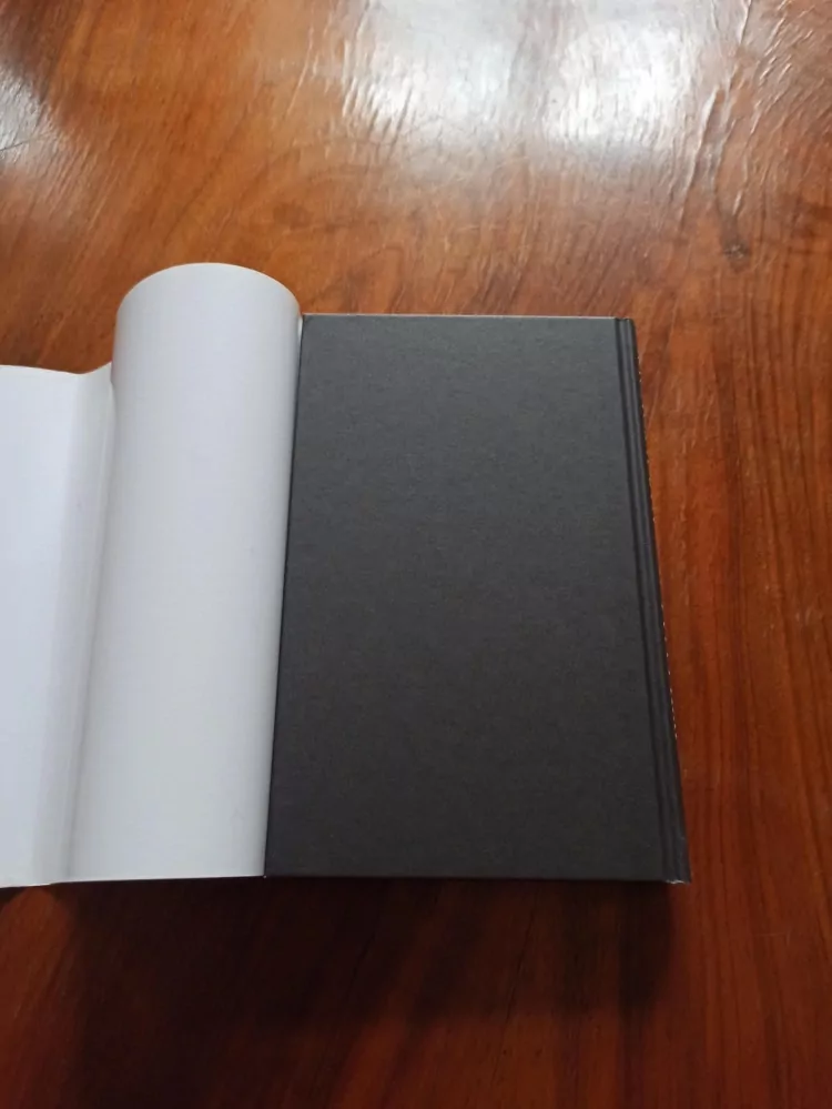 WILLIAM DIETRICH - Napoleonovy pyramidy