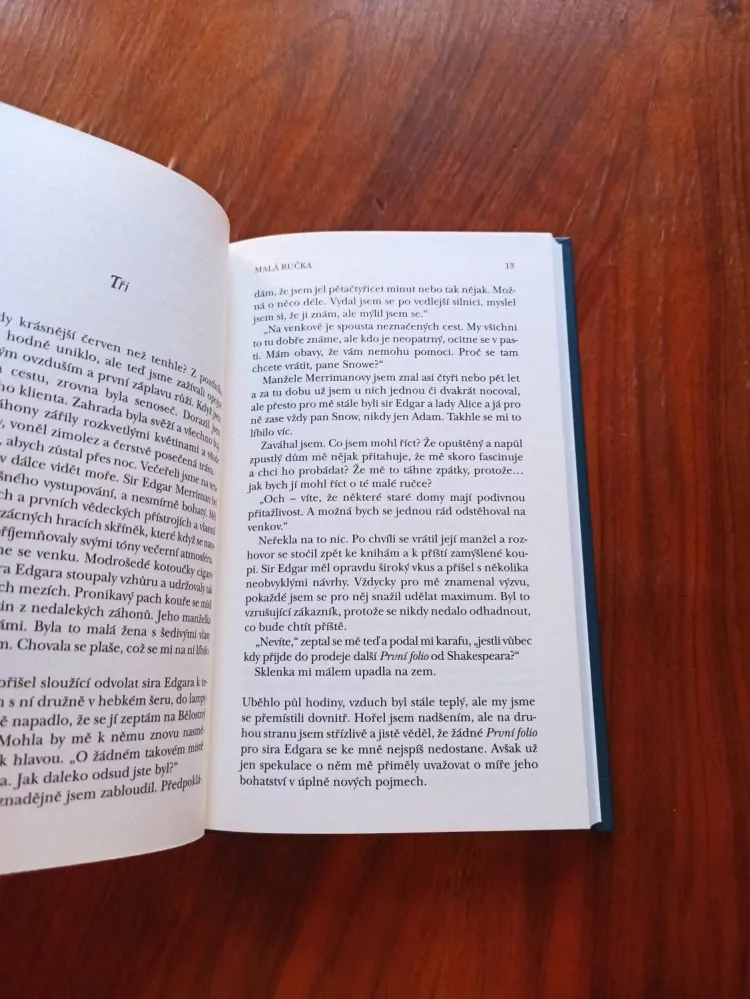 SUSAN HILL - Malá ručka