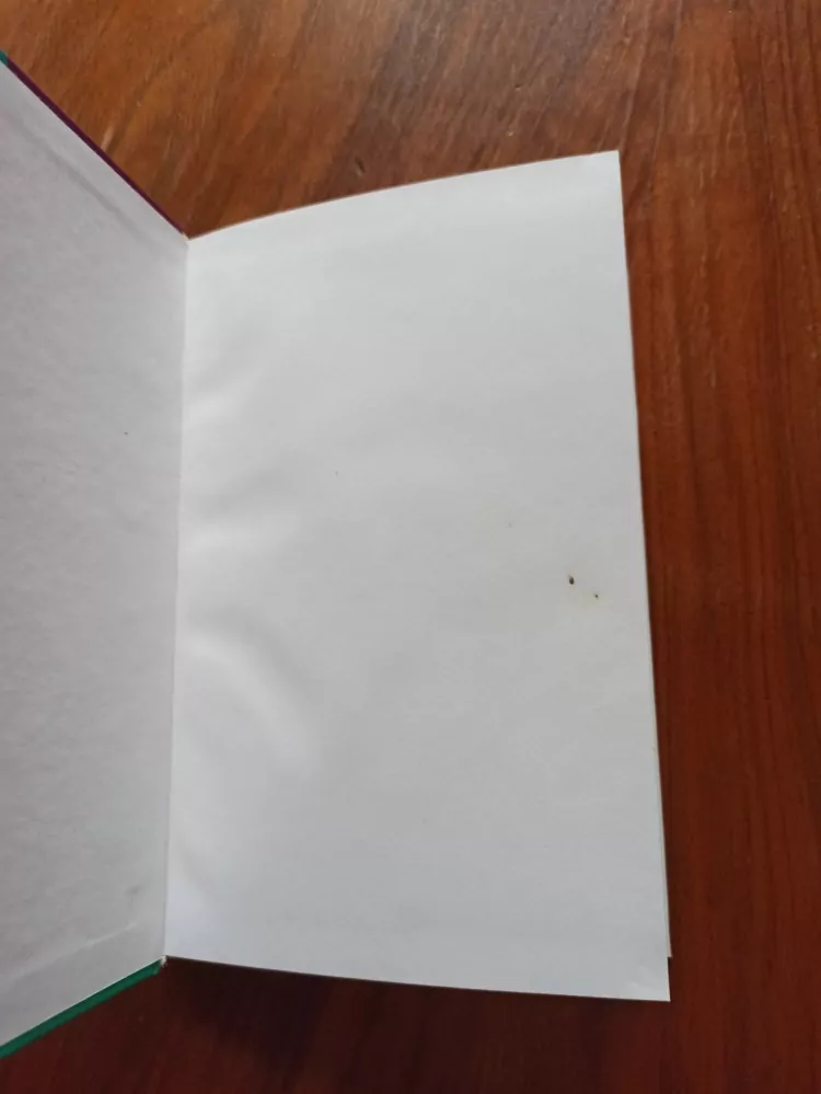 NGAIO MARSH - Nedokončený portrét