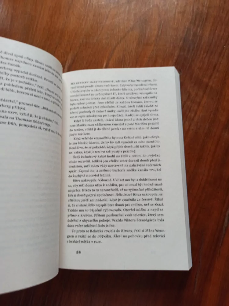 ÅSA LARSSON - Sluneční bouře