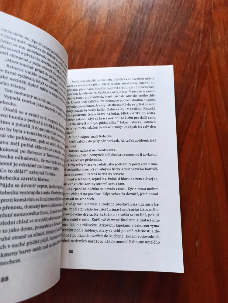 ÅSA LARSSON - Prolitá krev