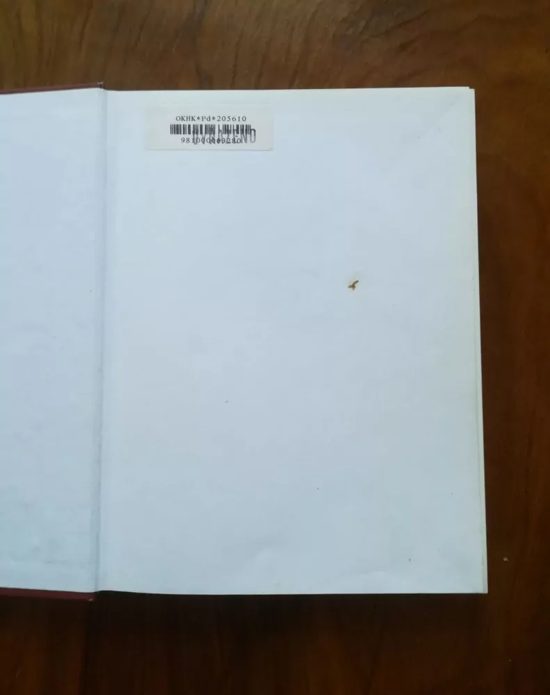 MARY SPILLANE - Image ženy