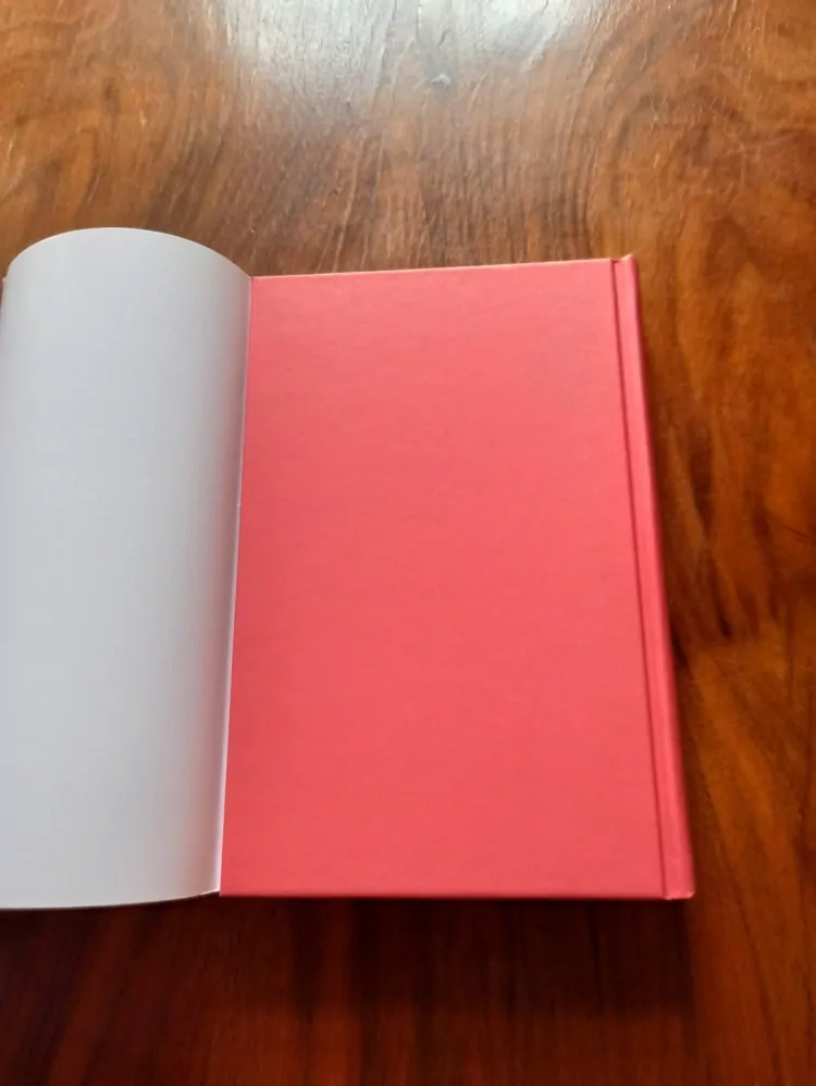 NIÑA WEIJERS - Následky