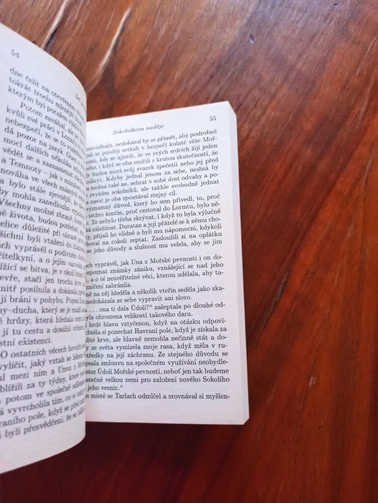 ANDRE NORTON, PAULINE M. GRIFFIN - Sokolníkova naděje - Svět čarodějnic 7.